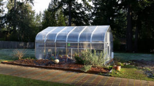 a backyard sunglo greenhouse